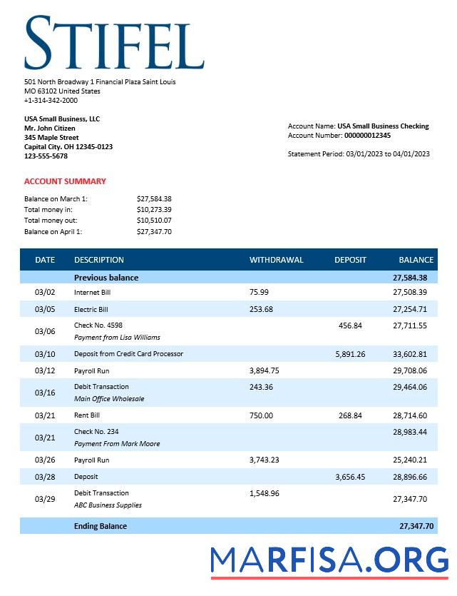 Professionell Stifel Financial Bank firm Kontoauszug Word and PDF Vorlage