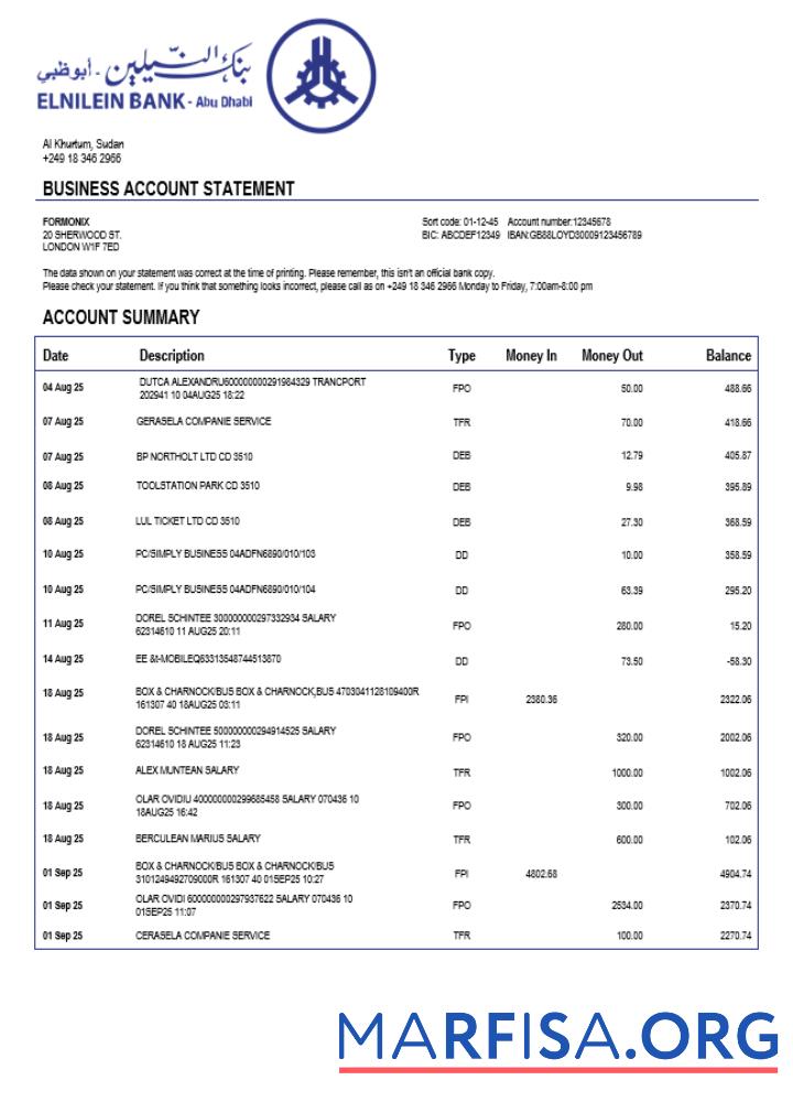 Hohe Qualität Sudanese Al Neelen Unternehmen checking Konto Kontoauszug Word and PDF Vorlage