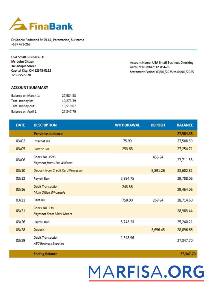 Premium Suriname Finabank enterprise Kontoauszug Word and PDF Vorlage