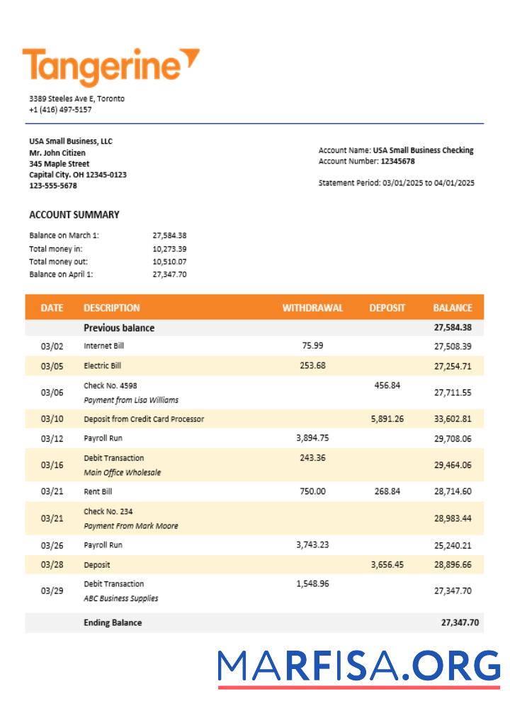 Tangerine Geschäft Bank Kontoauszug Word and PDF Format Design
