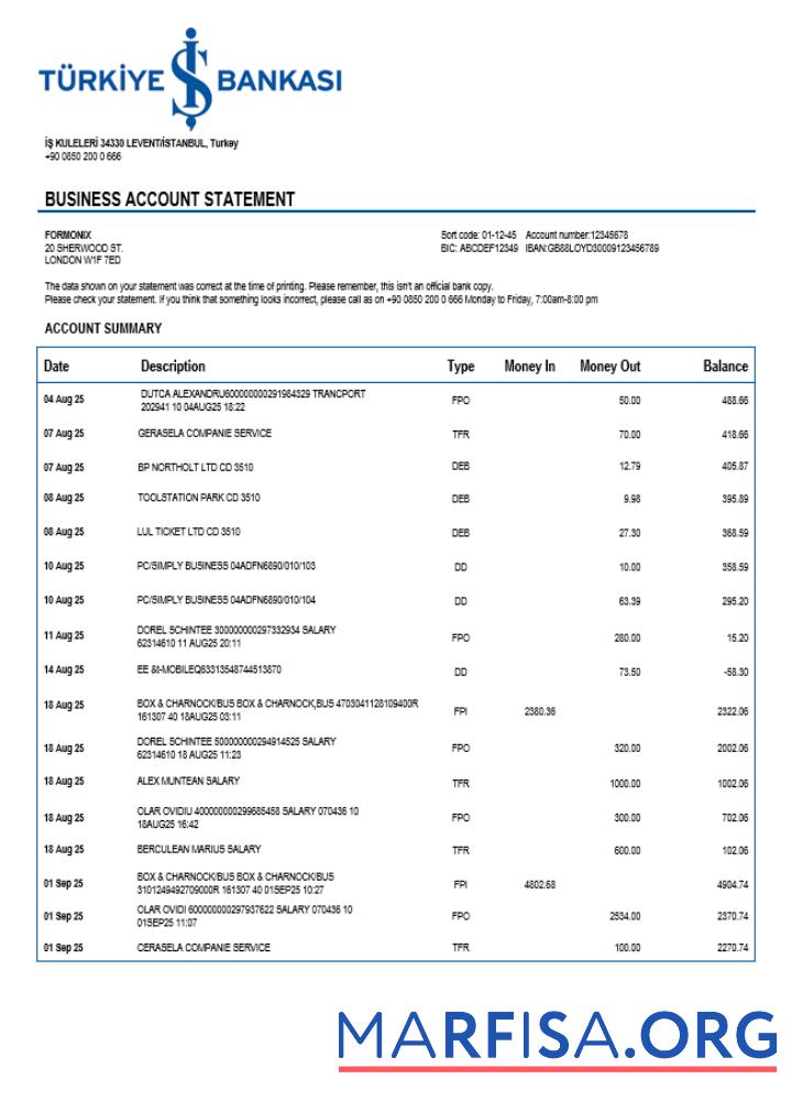 Premium Turkish Bankasi enterprise Kontoauszug Word and PDF Vorlage