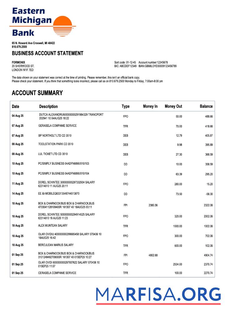 Premium US Eastern Michigan organization checking Konto Kontoauszug Word and PDF Vorlage