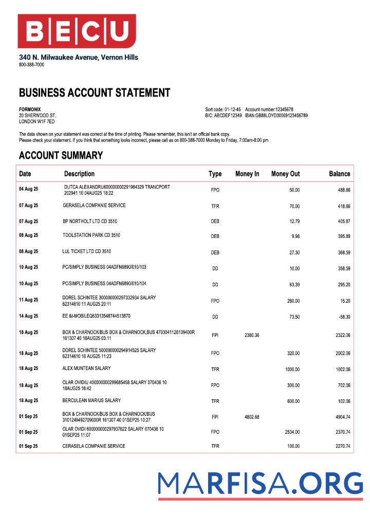 Professionell USA BECU organization Kontoauszug Word and PDF Vorlage