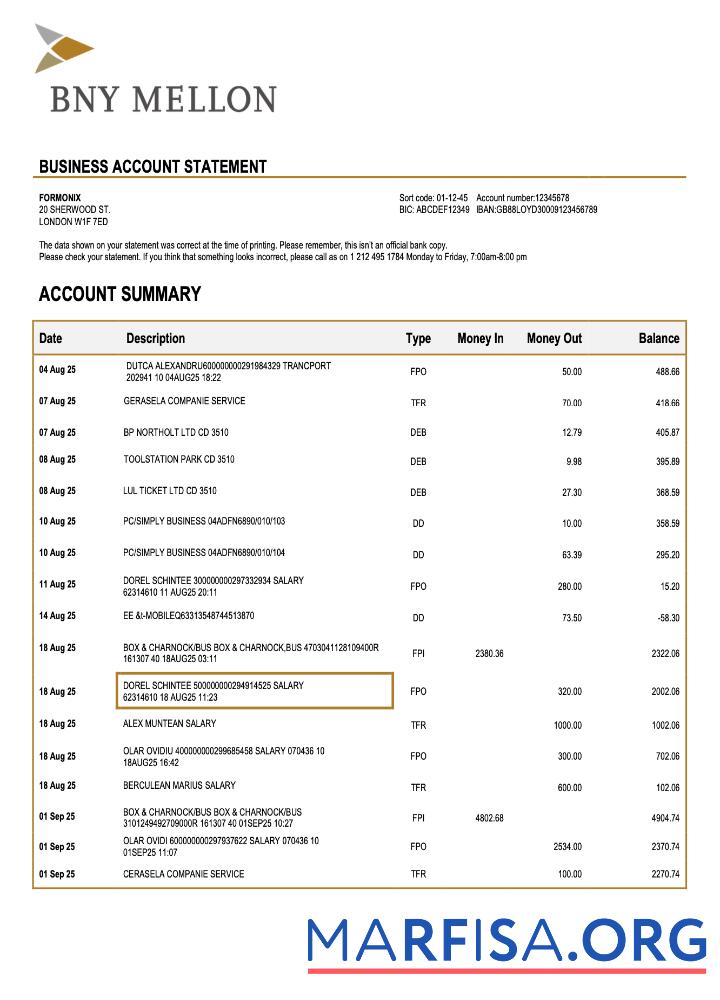 Professionell USA Bank of Neu York Mellon organization Kontoauszug Word and PDF Vorlage