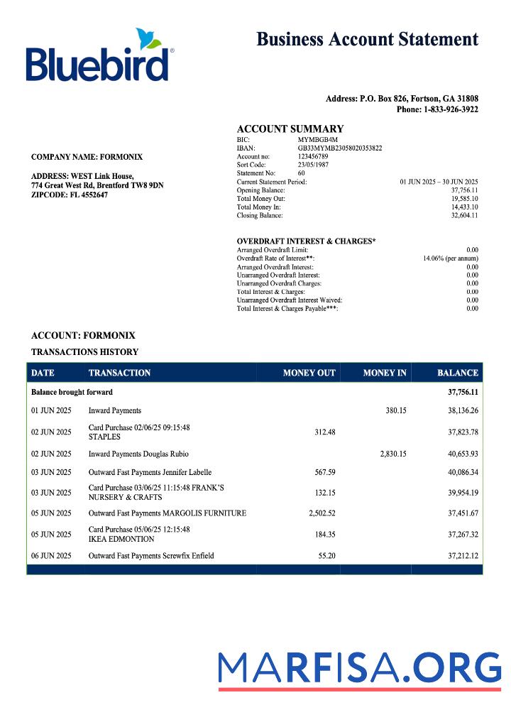 Premium USA Bluebird firm Konto Kontoauszug Word and PDF Vorlage