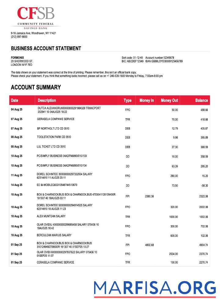 Bearbeitbar USA CFSB firm Konto Kontoauszug Word and PDF Vorlage