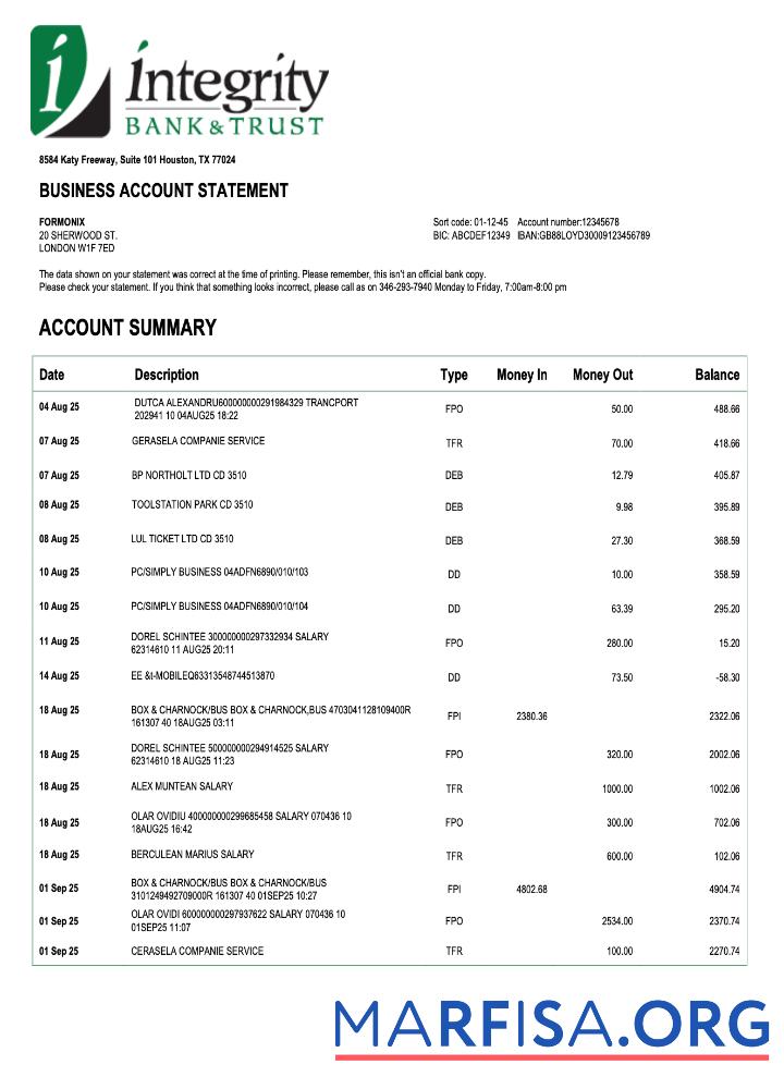 Hohe Qualität USA Integrity firm Konto Kontoauszug Word and PDF Vorlage