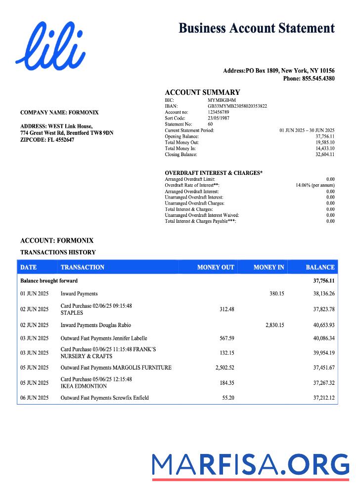Hohe Qualität USA Lili organization Konto Kontoauszug Word and PDF Vorlage