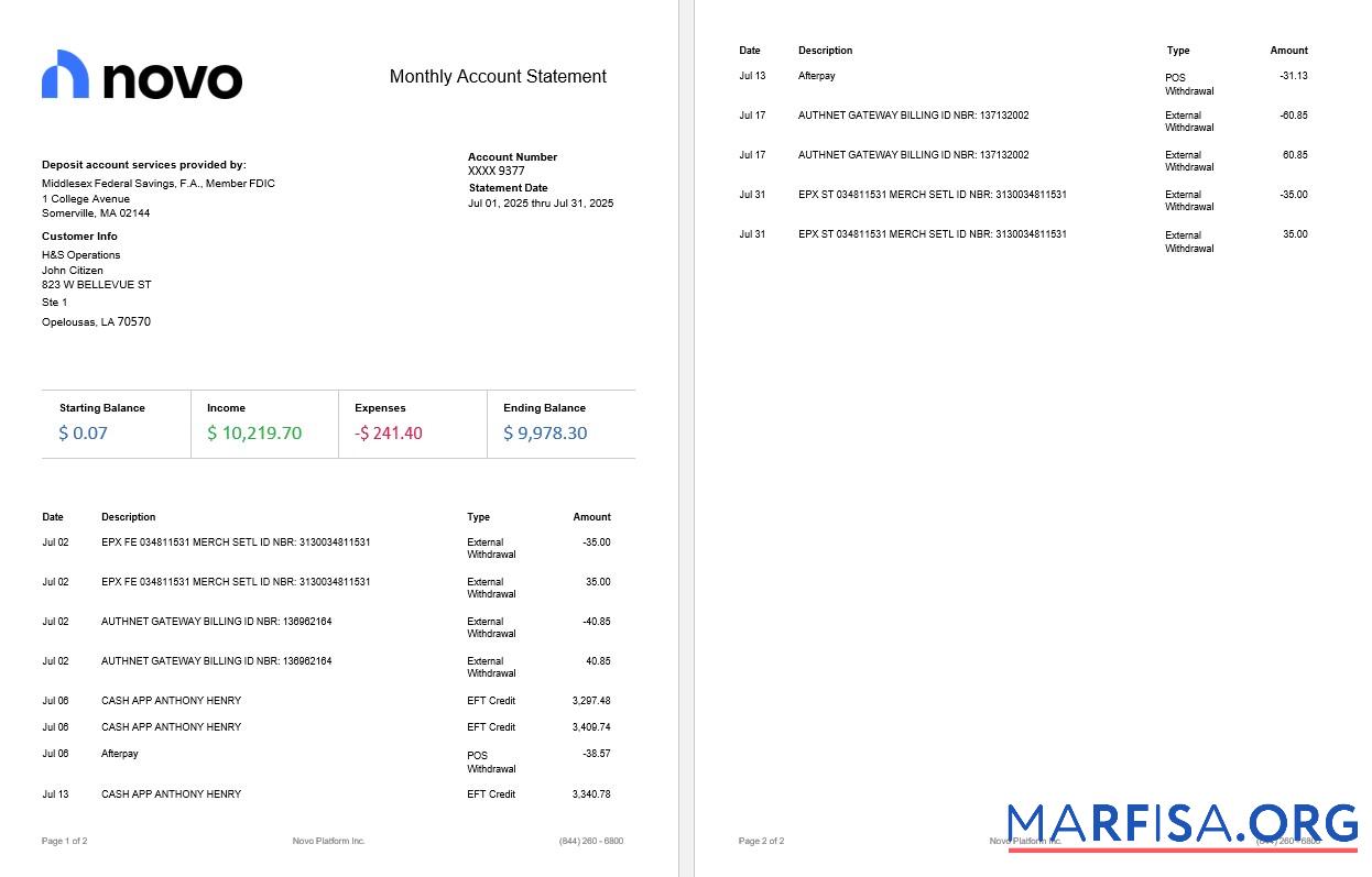 USA Novo Plattform INC online Geschäft banking Kontoauszug, 2 pages.PDF Probe