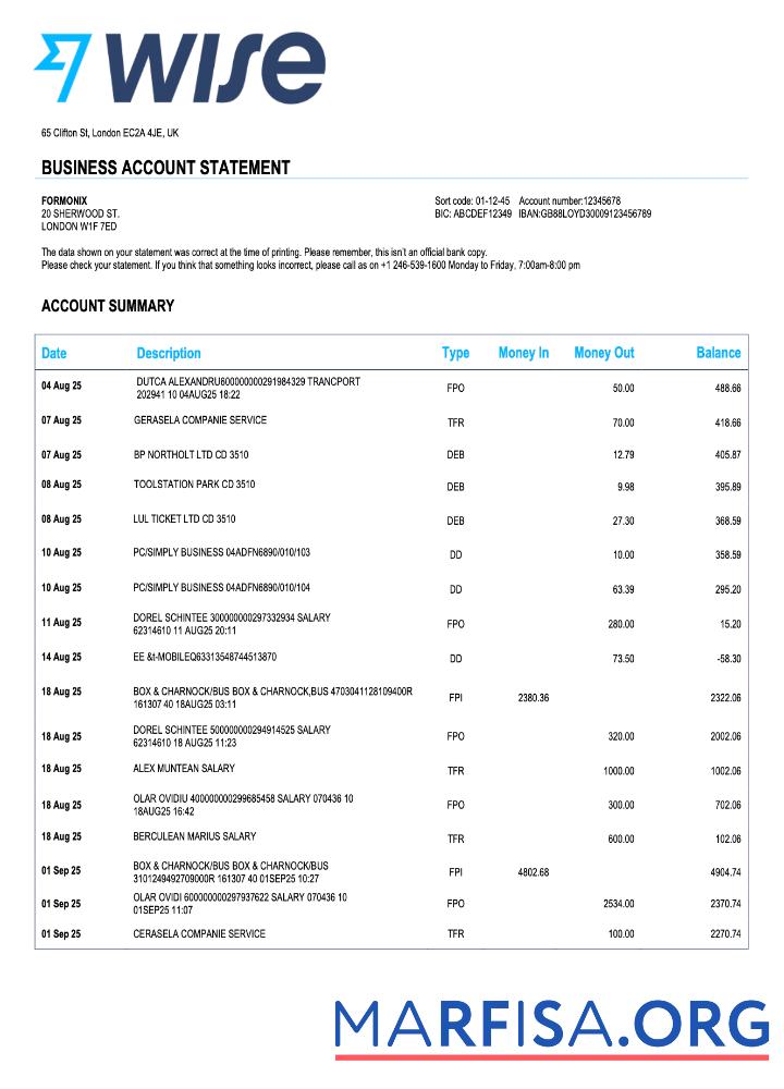 Realistisch Vereinigtes Königreich Wise enterprise Kontoauszug Word and PDF Vorlage