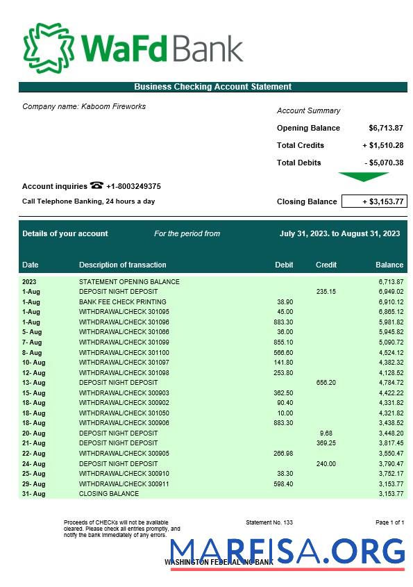 Realistisch Washington Federal Inc Bank Geschäft checking Konto Kontoauszug Word and PDF Vorlage