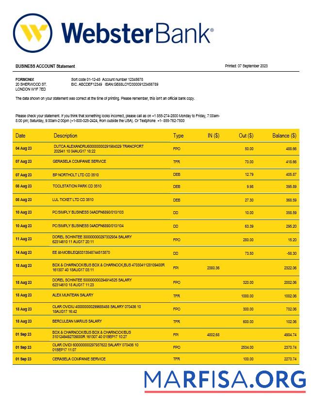 Hohe Qualität Webster Bank Geschäft Kontoauszug Word and PDF Vorlage