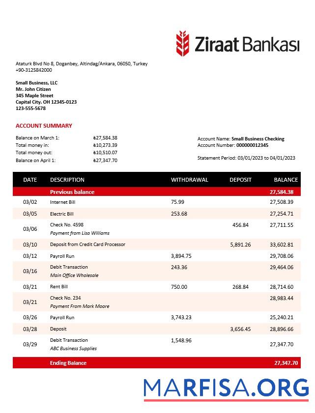Hohe Qualität Ziraat Bankasi Geschäft checking Konto Kontoauszug Word and PDF Vorlage