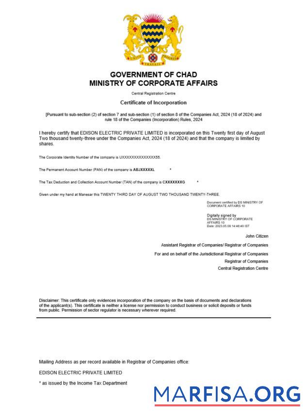 Professionell Tschad Zertifikat of Registrierung Word and PDF Vorlage
