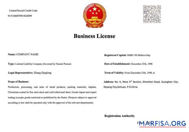 Hohe Qualität China Geschäft Lizenz Word and PDF Vorlage