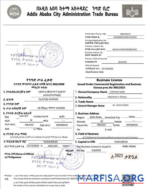 Hohe Qualität Äthiopien┬áAddis Ababa┬áGeschäft Lizenz Word and PDF Vorlage
