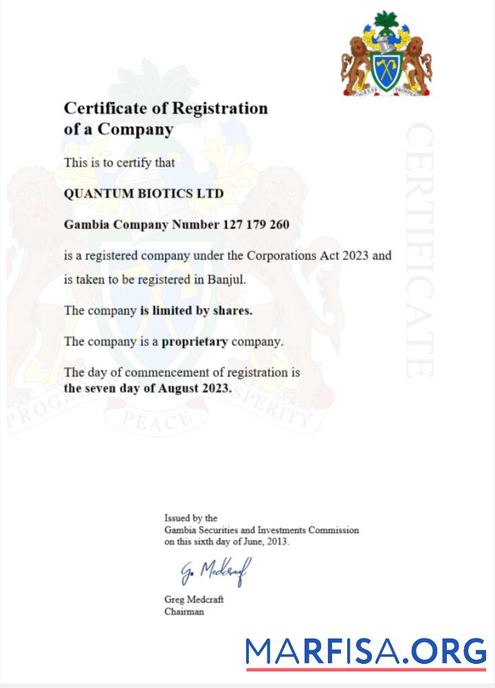 Professionell Gambia Zertifikat of Registrierung Word and PDF Vorlage