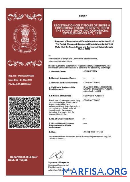 Bearbeitbar Indien Punjab Registrierung Zertifikat Word and PDF Vorlage