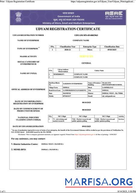 Professionell Indien Udyam Registrierung Zertifikat Word and PDF Vorlage, Version 7