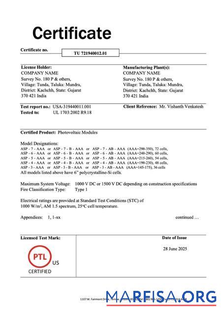 Professionell Indien Zertifikat of Unternehmen Word and PDF Vorlage