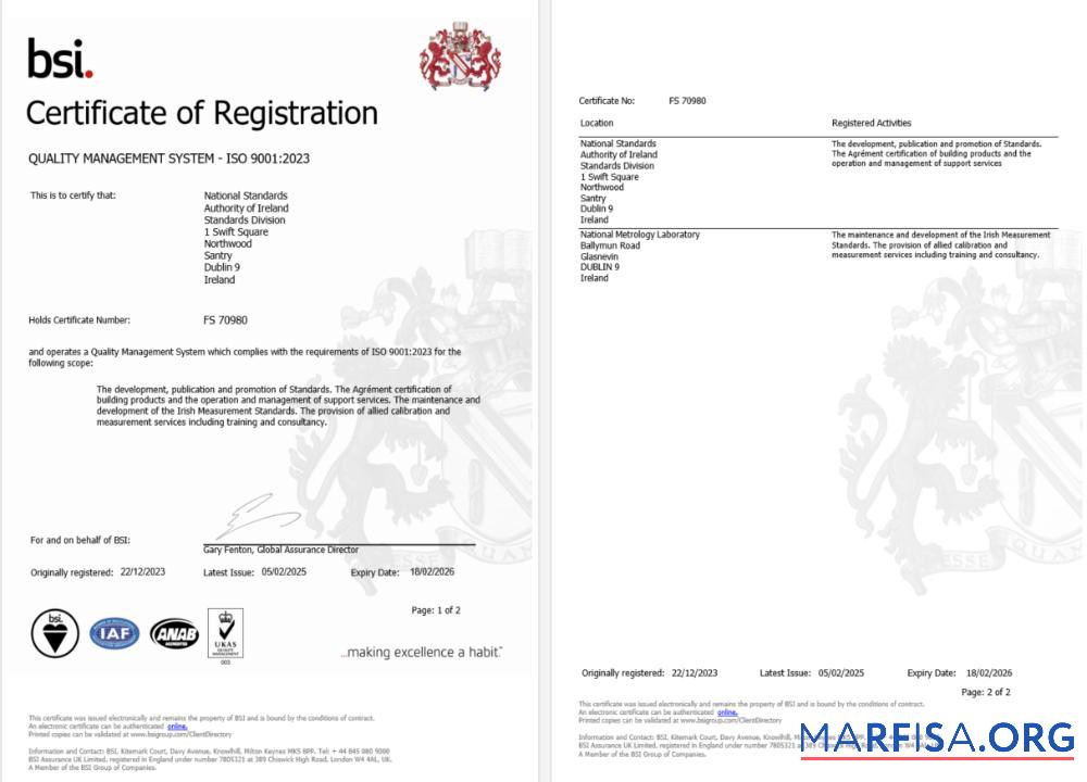 Premium Irland Dublin BSI Zertifikat of Registrierung Word and PDF Vorlage