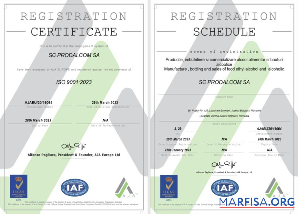 Italien Zertifikat of Registrierung Word and PDF Mockup