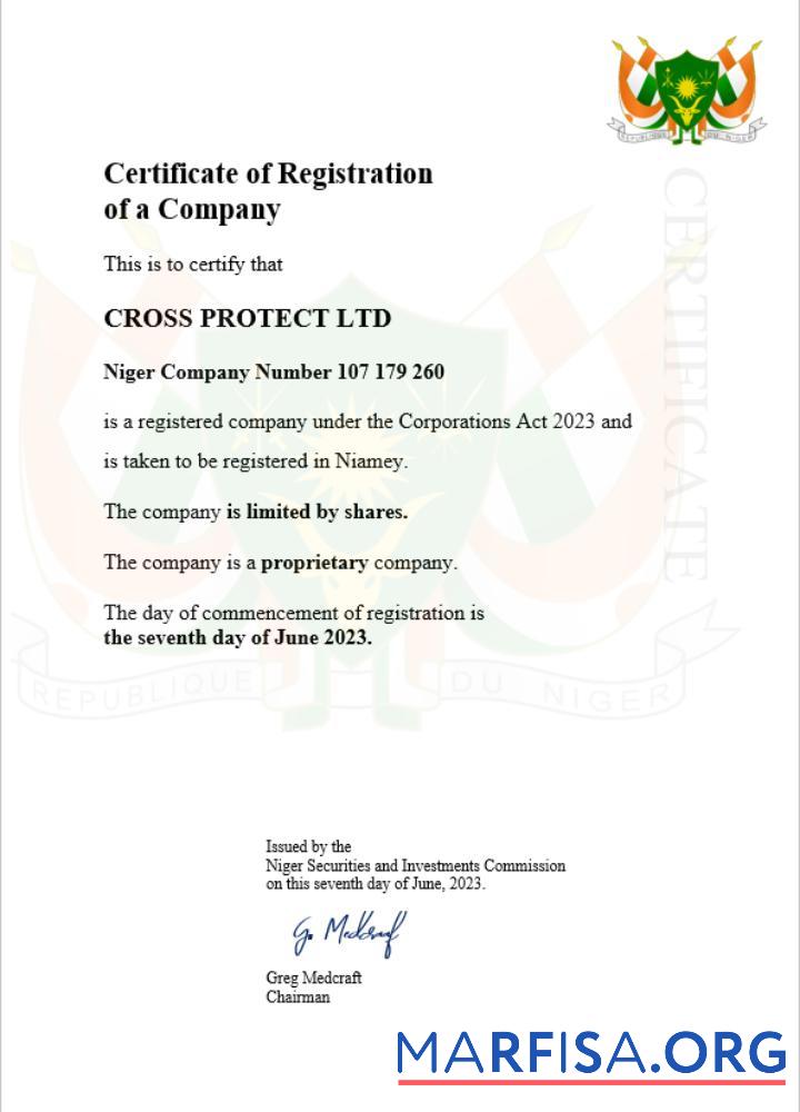 Professionell Niger Geschäft Registrierung Zertifikat Word and PDF Vorlage