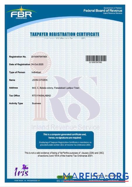 Premium Pakistan taxpayer Registrierung Zertifikat Word and PDF Vorlage