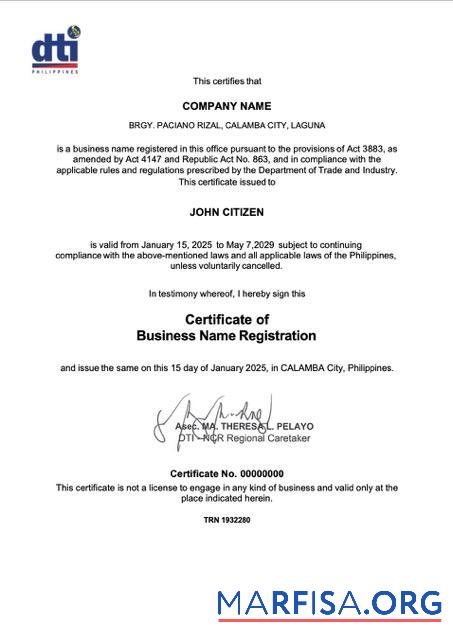 Premium Philippinen Calamba Zertifikat of Geschäft name Registrierung Word and PDF Vorlage