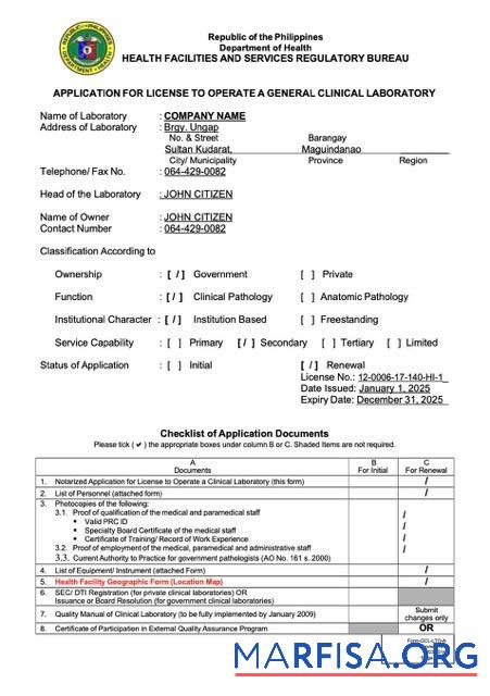 Bearbeitbar Philippinen Antrag for Lizenz to operate Word and PDF Vorlage