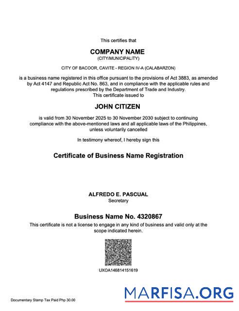 Bearbeitbar Philippinen Zertifikat of Geschäft name Registrierung Word and PDF Vorlage
