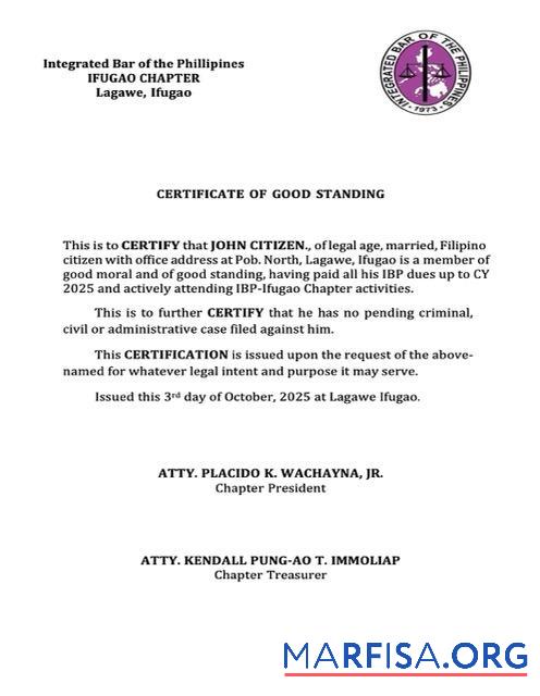 Realistisch Philippinen Zertifikat of good standing Word and PDF Vorlage, Version 7