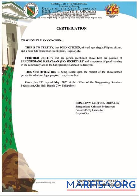 Premium Philippinen Zertifikat of good standing Word and PDF Vorlage, Version 8