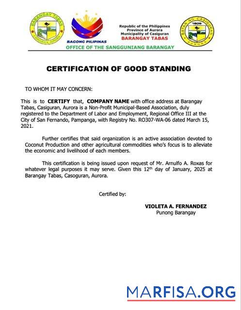 Realistisch Philippinen Zertifizierung of good standing Word and PDF Vorlage, Version 4