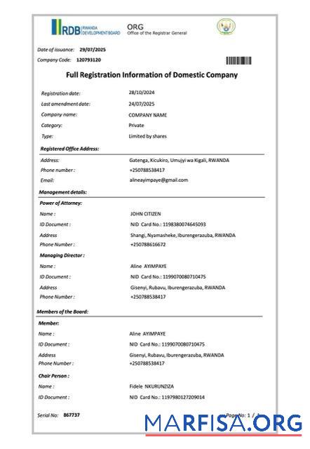 Professionell Ruanda full Registrierung Information of domestic Unternehmen Word and PDF Vorlage