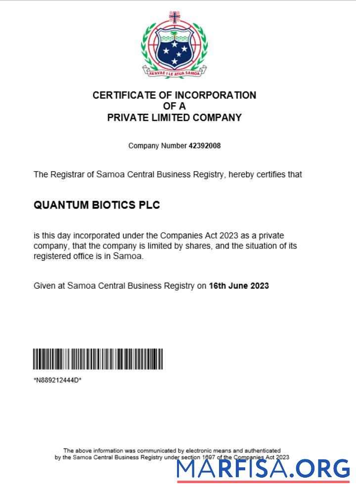 Professionell Samoa Geschäft Registrierung Zertifikat Word and PDF Vorlage