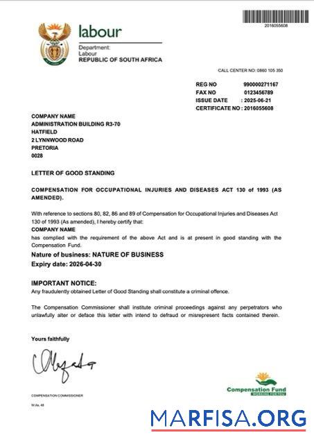 Premium Südafrika Brief of good standing Word and PDF Vorlage
