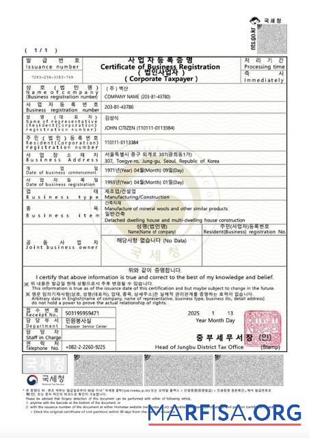 Professionell Südkorea Zertifikat of Geschäft Registrierung Word and PDF Vorlage