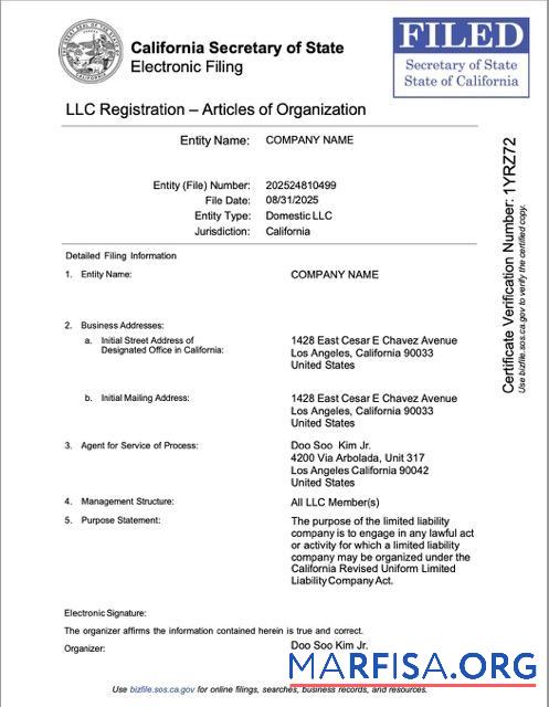 Hohe Qualität USA California LLC Registrierung Word and PDF Vorlage