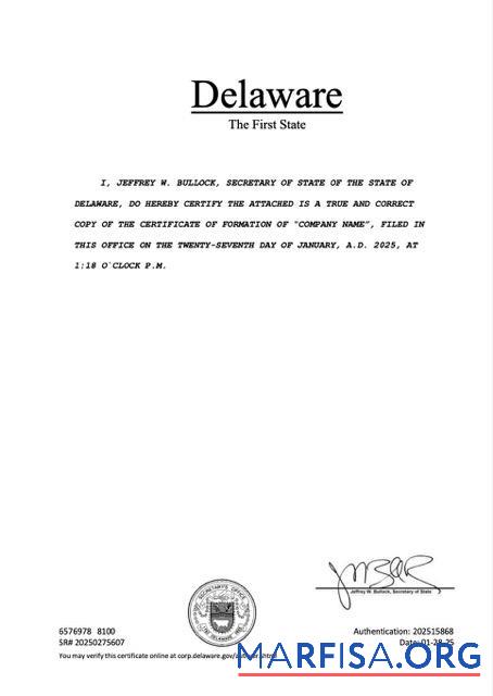 Realistisch USA Delaware Registrierung Zertifikat Word and PDF Vorlage