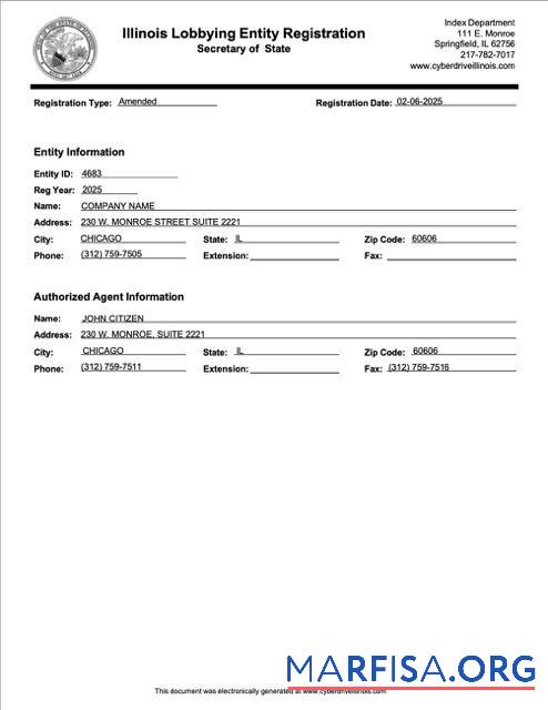 Realistisch USA Illinois Registrierung Zertifikat Word and PDF Vorlage