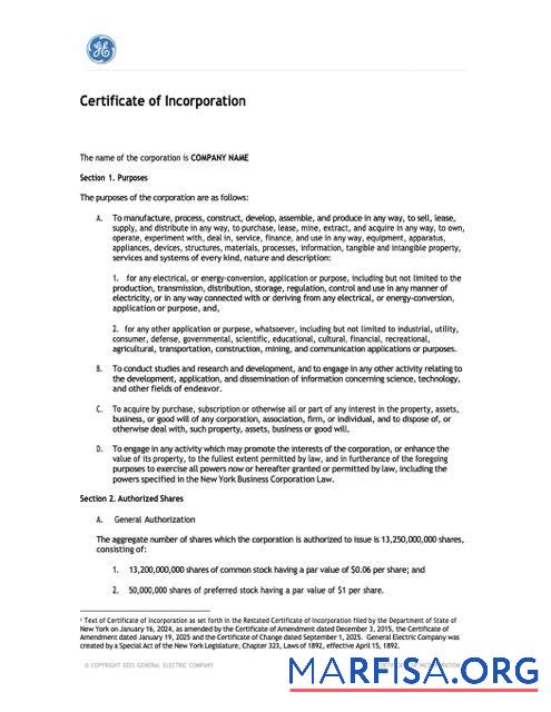 Bearbeitbar USA Neu York Zertifikat of incorporation Word and PDF Vorlage
