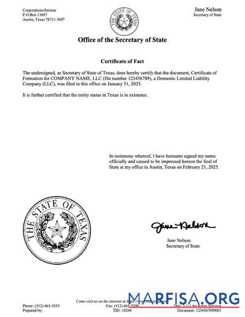 Premium USA Texas Zertifikat of fact Word and PDF Vorlage