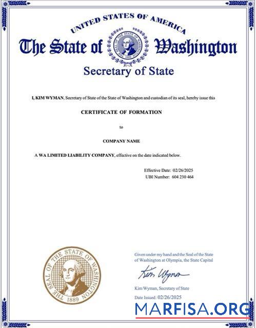 Professionell USA Zertifikat of formation Word and PDF Vorlage