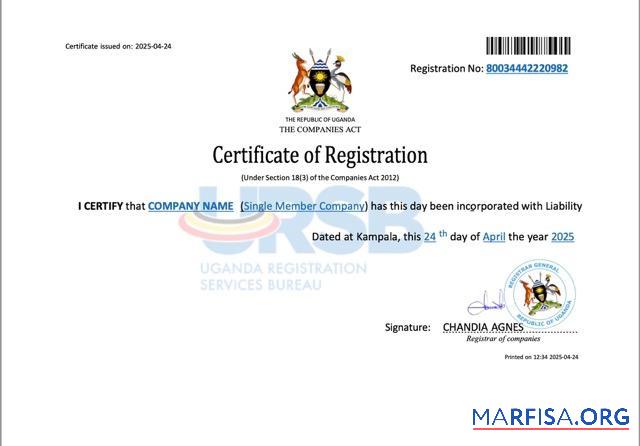 Bearbeitbar Uganda Unternehmen Registrierung Zertifikat Word and PDF Vorlage