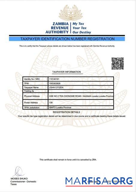 Hohe Qualität Sambia taxpayer Identifikation number Registrierung Word and PDF Vorlage