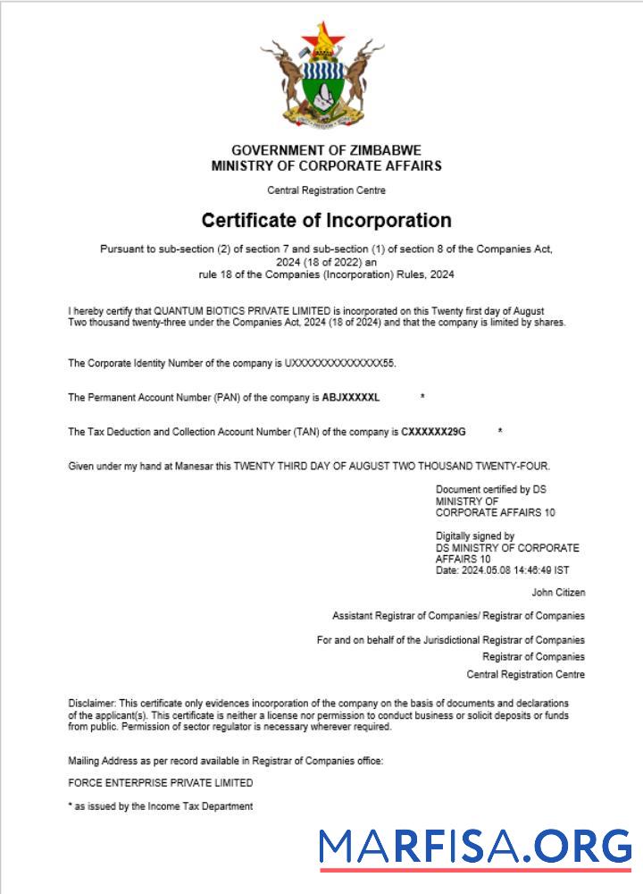 Professionell Simbabwe Geschäft Registrierung Zertifikat Word and PDF Vorlage