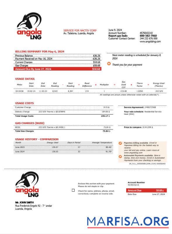 Высокое Качество Ангола LNG proof of address Бизнес Счёт за коммунальные услуги Счёт Шаблон in Word and PDF Формат