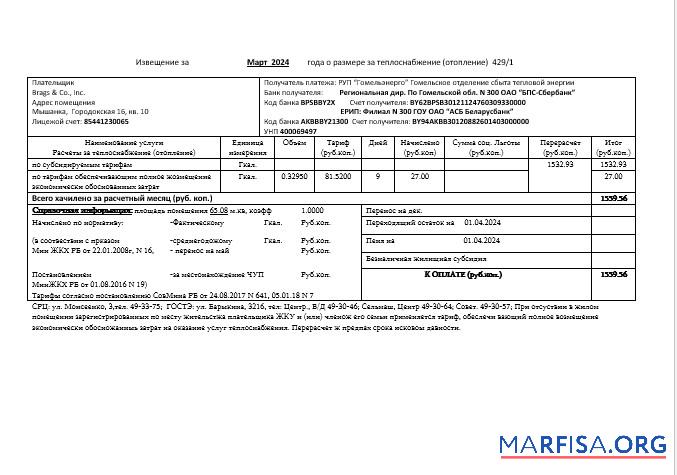 Реалистичный Беларусь Gomel energo Бизнес Счёт за коммунальные услуги Счёт Шаблон in .doc and .PDF Формат, fully Редактируемый