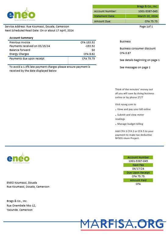 Премиум Камерун ENEO Электричество Бизнес Счёт за коммунальные услуги Счёт Шаблон in Word and PDF Форматы